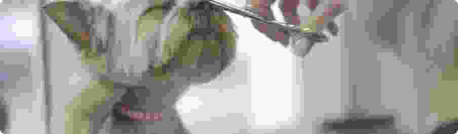 DumuMax