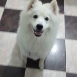 dumumax-blogpost-3